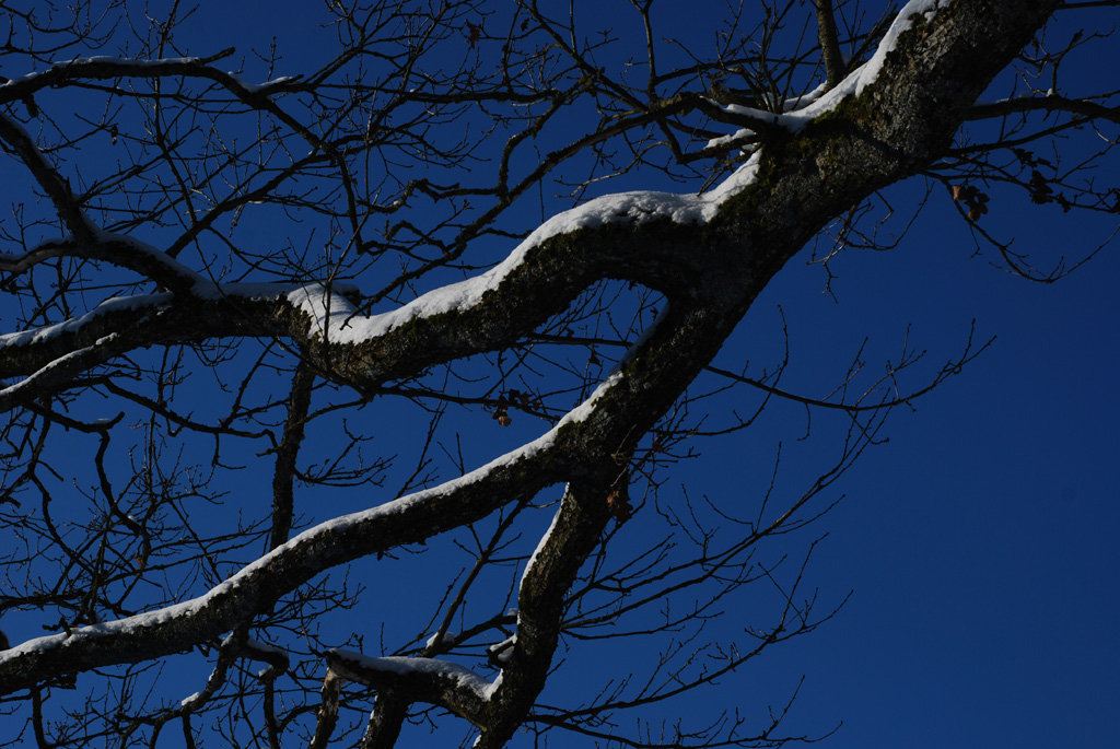 DSC 58170001 s