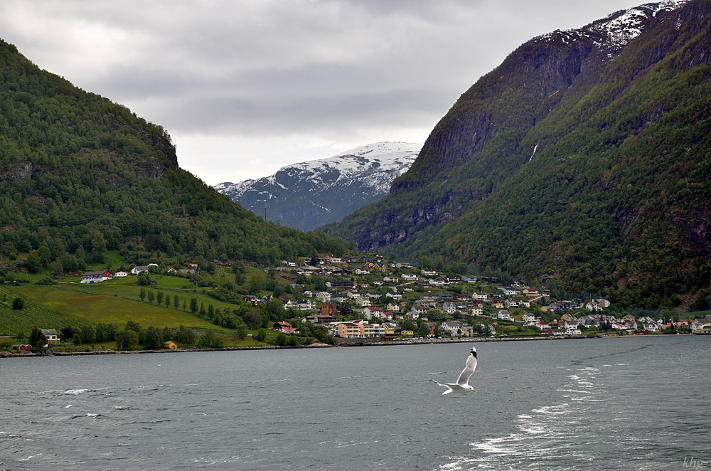 DSC 5821 Fjord