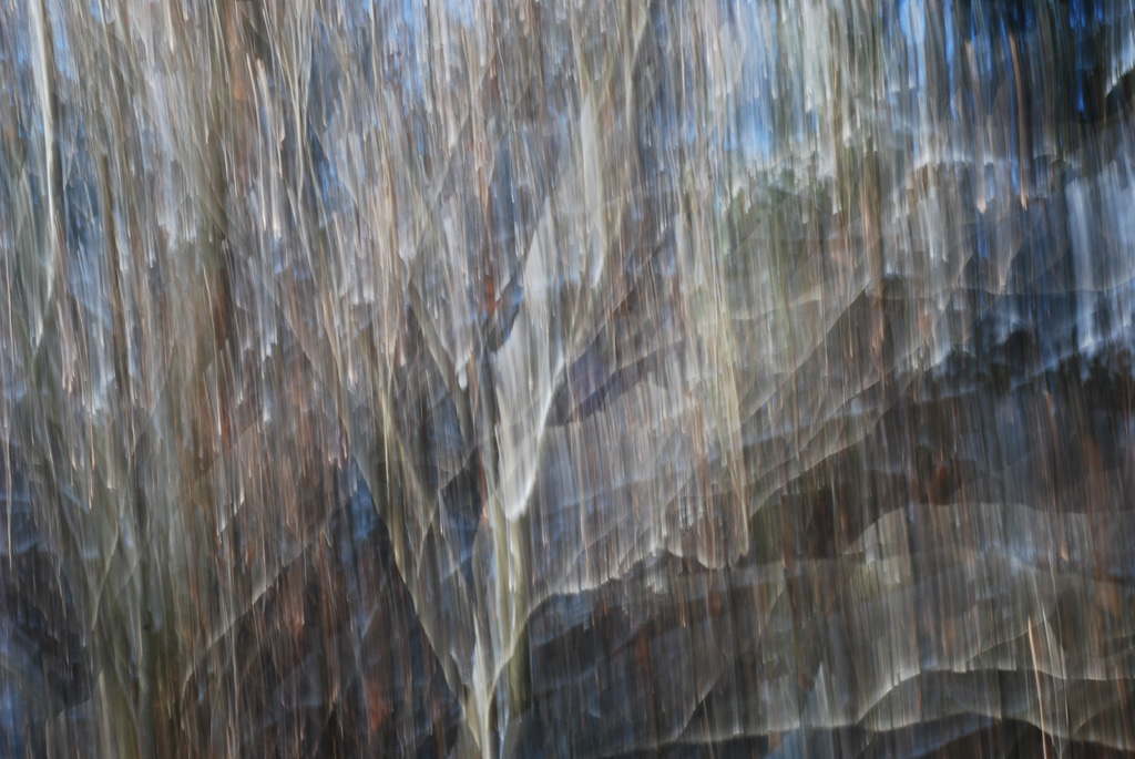DSC 58390001 s