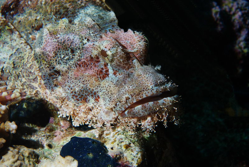 DSC 5938a
