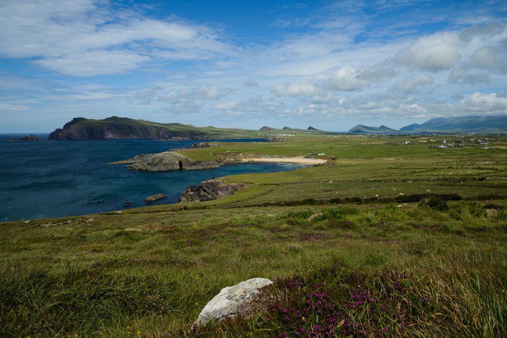 DSC 6053