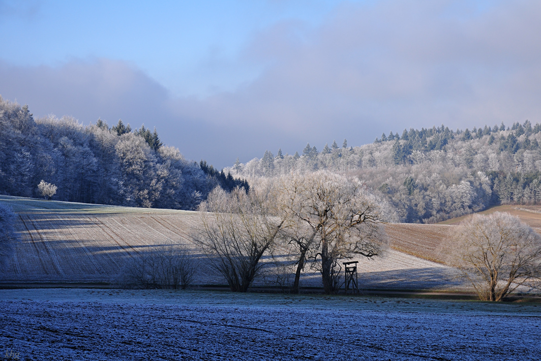 DSC 6179 Silvester