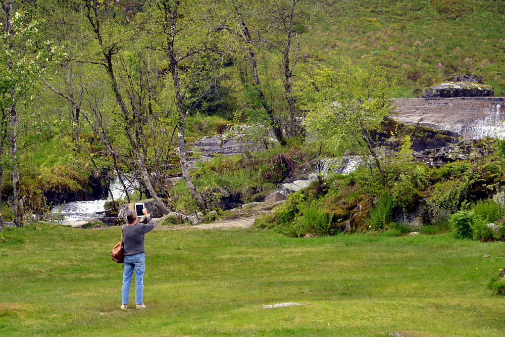 DSC 6229 khg