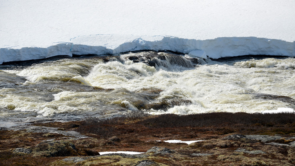 DSC 6273 Hardangervidda