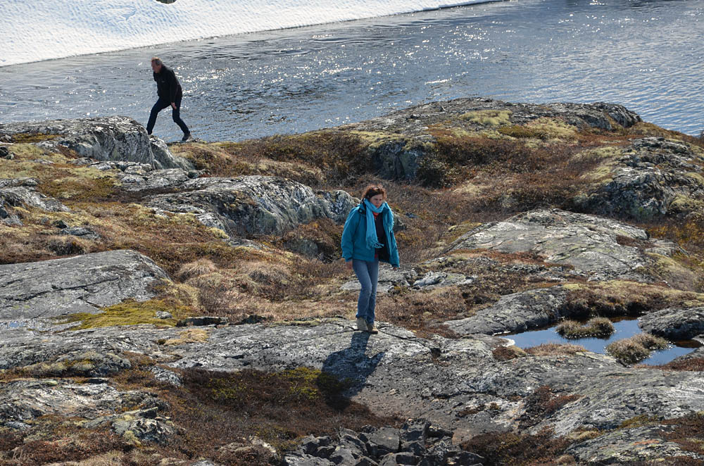 DSC 6275 Hardangervidda