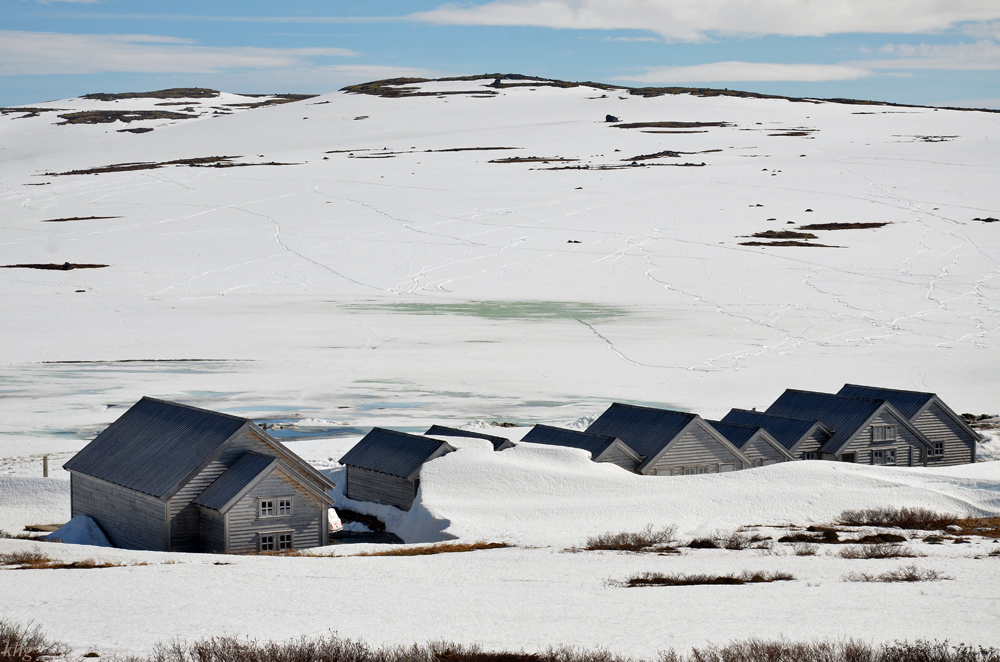 DSC 6279 Schnee