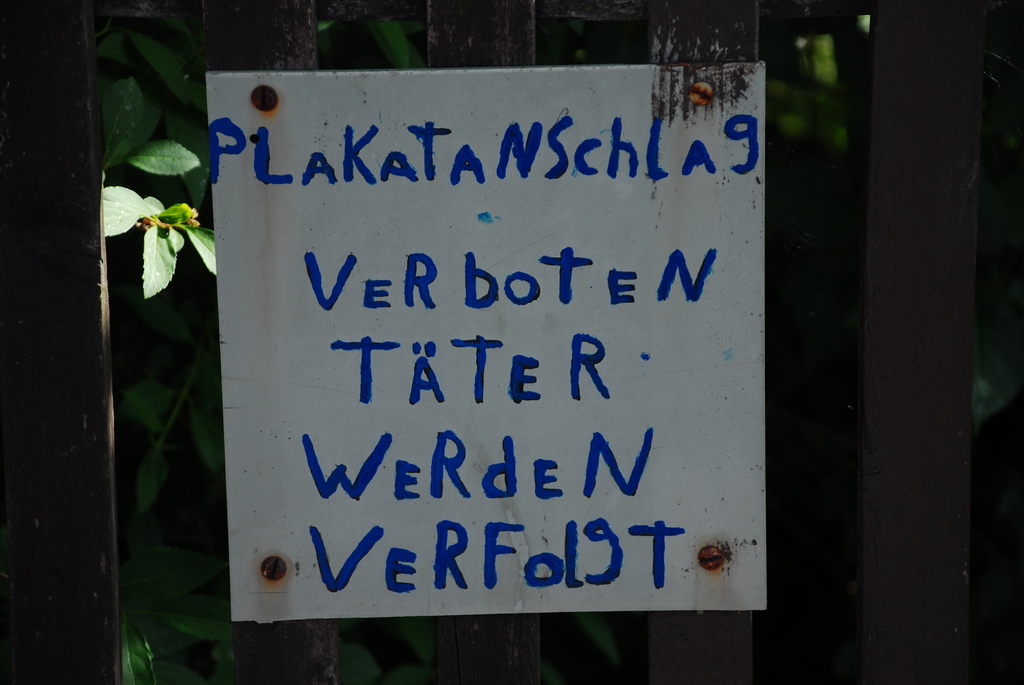DSC 6288 Bildgröße ändern