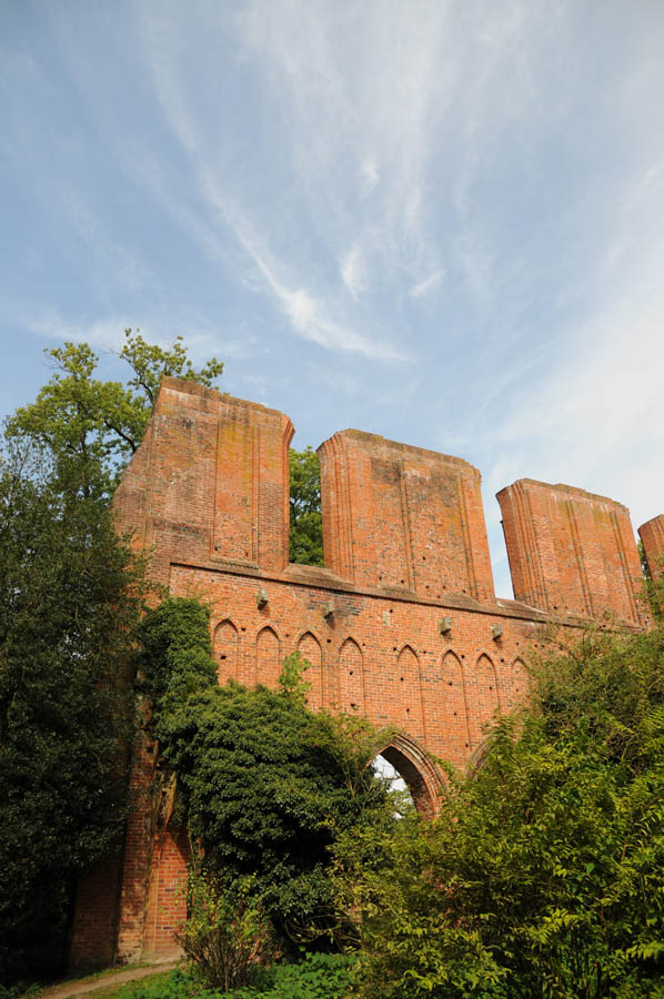 DSC 6307 Klosterruine OOC