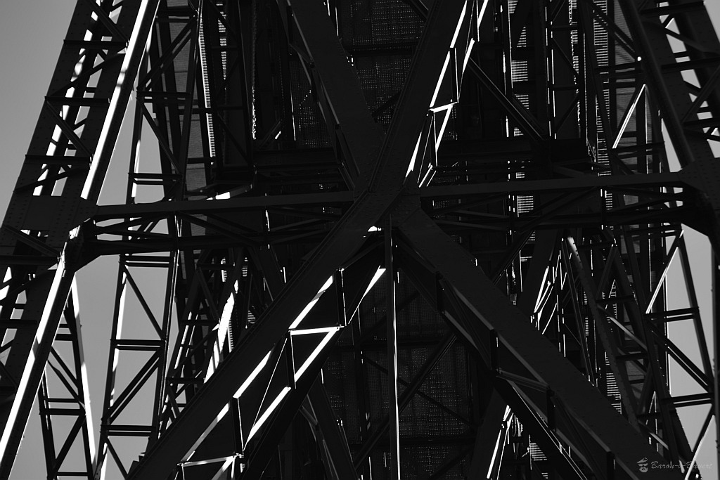 DSC 6436sw