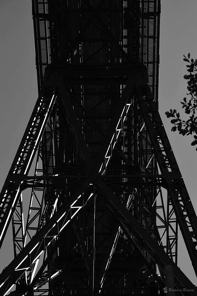 DSC 6440sw