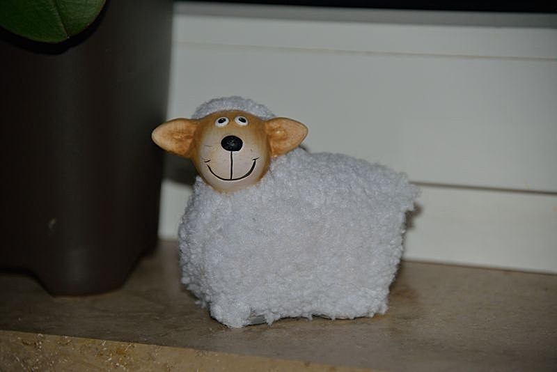 DSC 6467