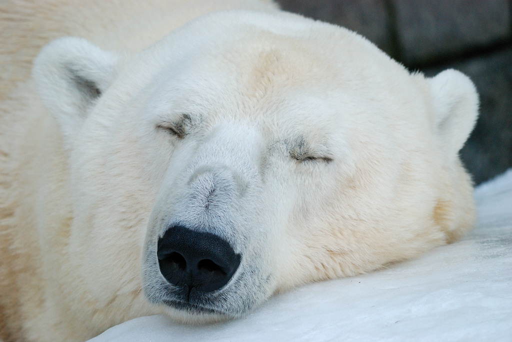 DSC 6598 bearbeitet klein