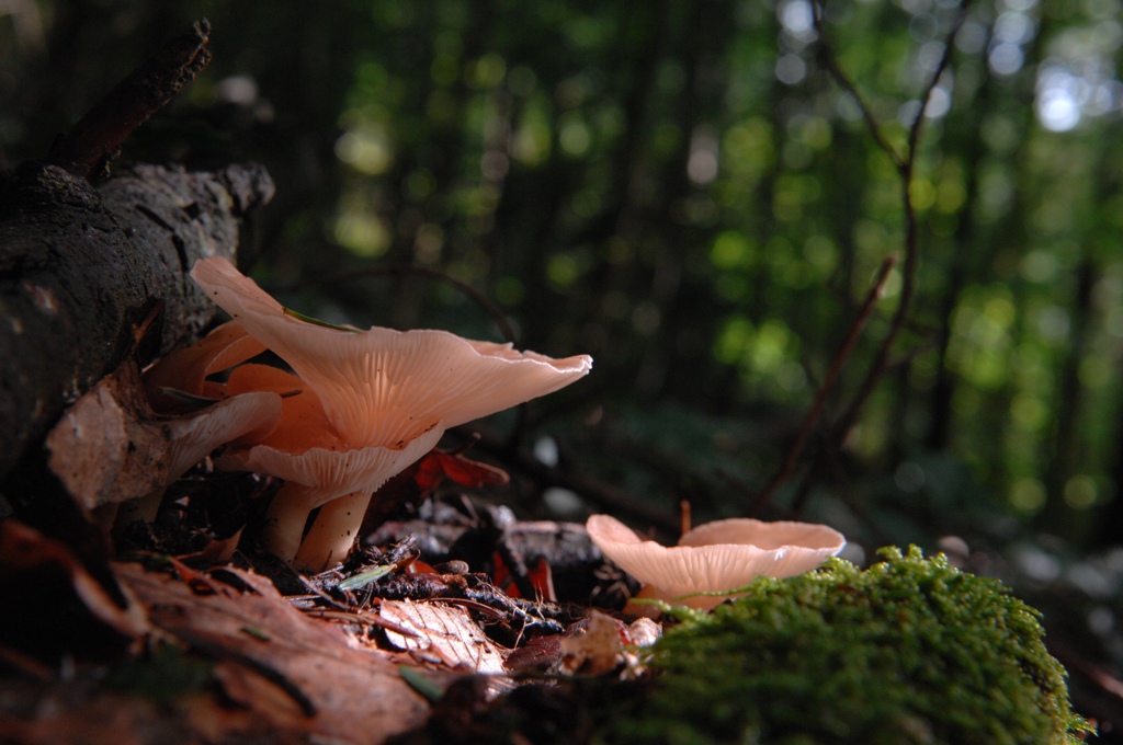 DSC 6629 small