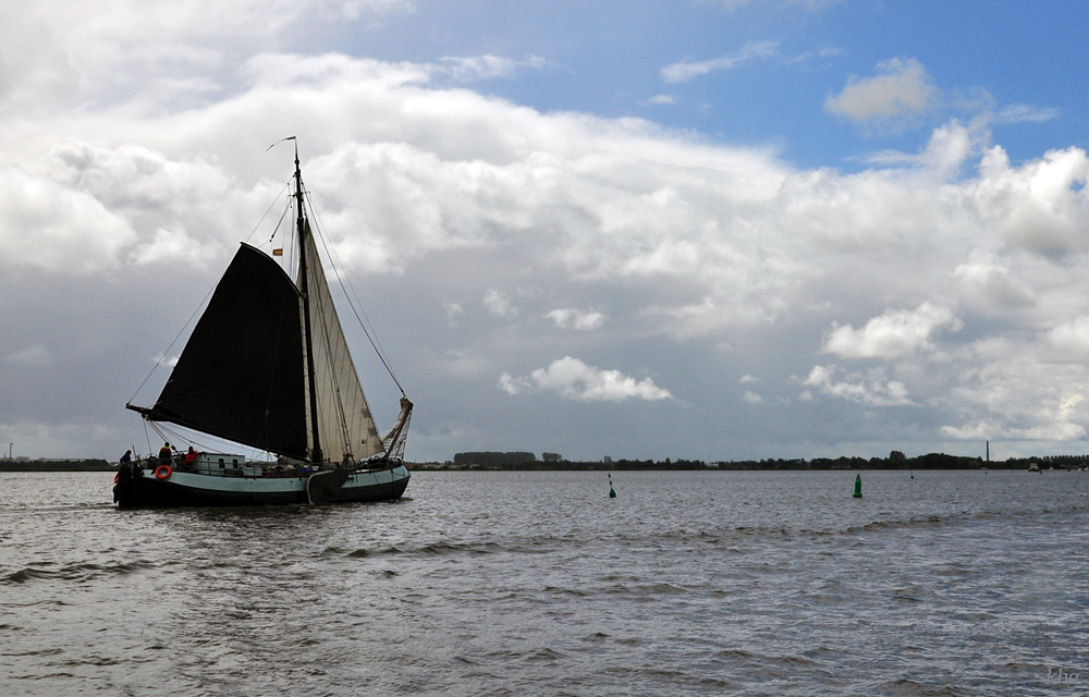 DSC 6661 khg
