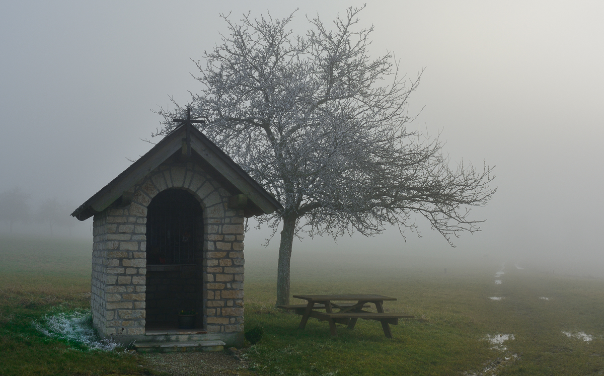 DSC 6694 2
