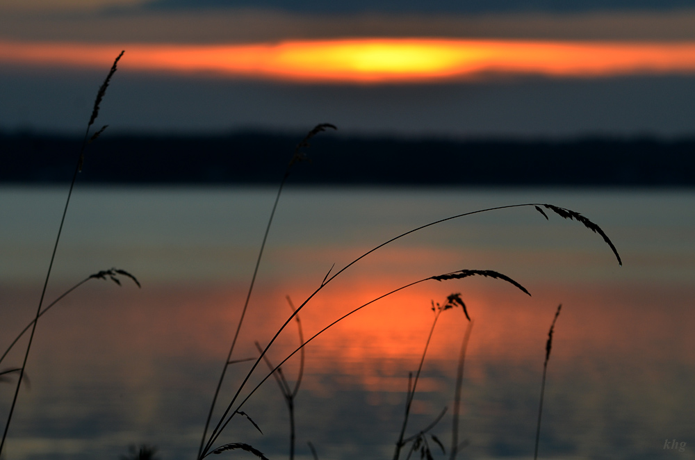 DSC 6725 Stille