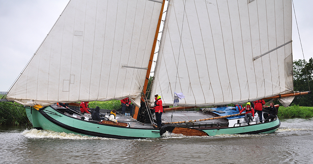 DSC 6810 khg