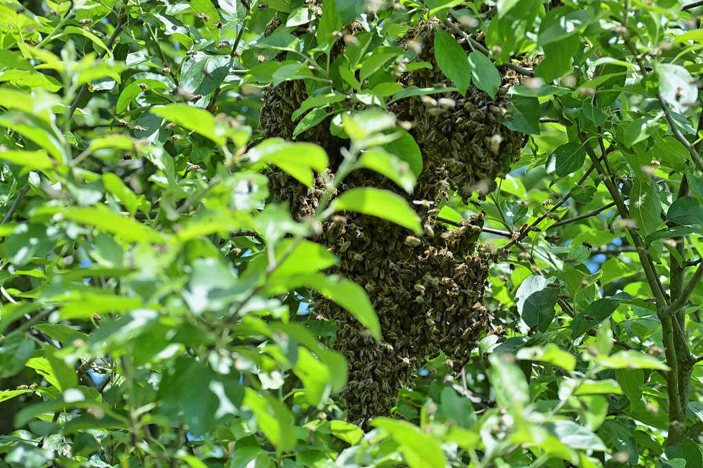 DSC 7204 DxO 9