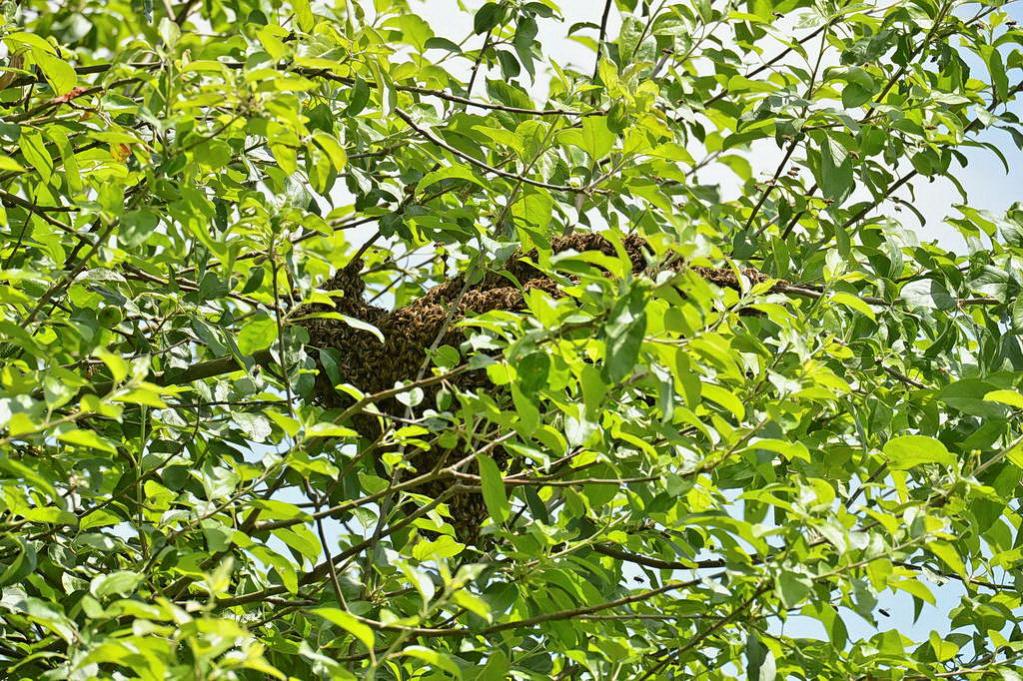 DSC 7206 DxO 9
