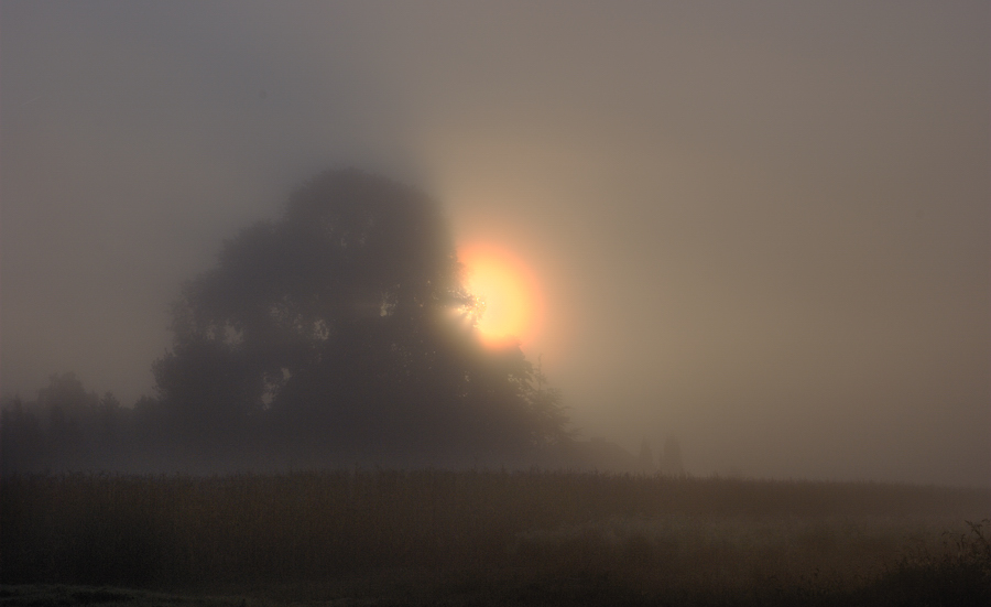 DSC 7269 7 8 1 NFF