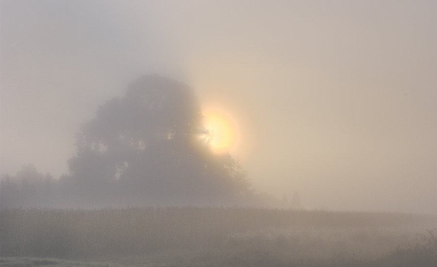 DSC 7269 7 8 3 NFF