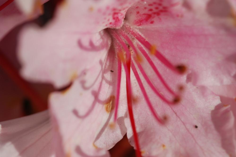 DSC 7354