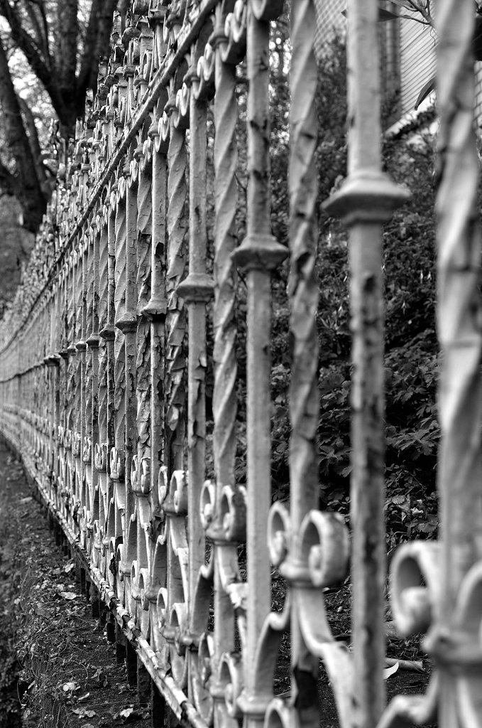 DSC 7383 bearbeitet klein B&amp;W