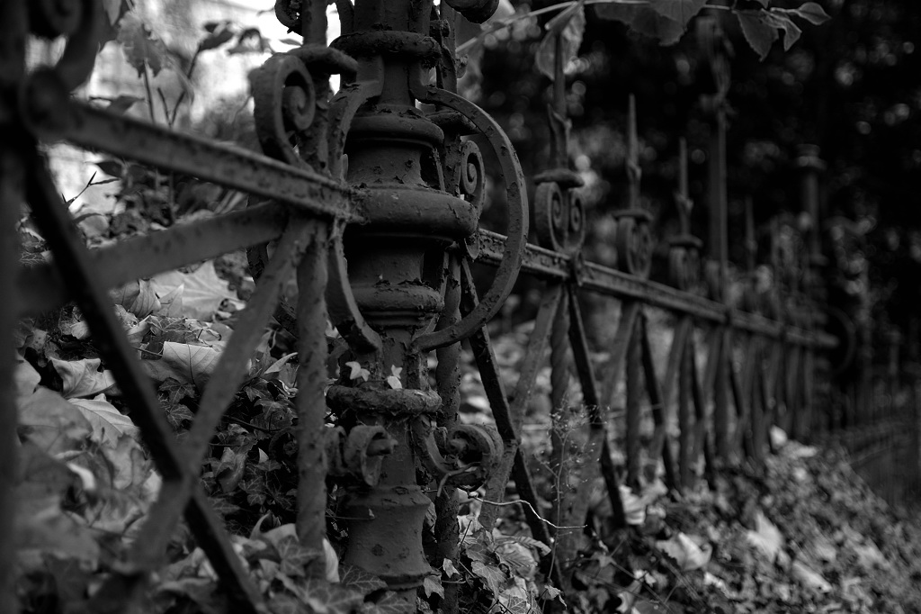 DSC 7395 bearbeitet klein B&amp;W