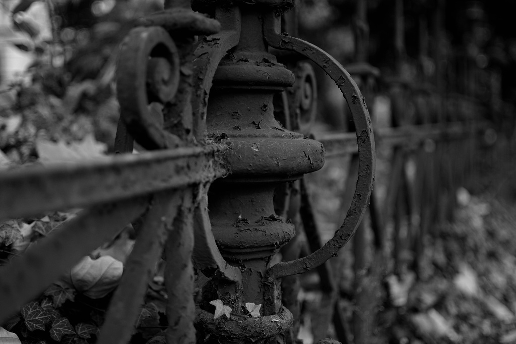 DSC 7397 bearbeitet klein B&amp;W