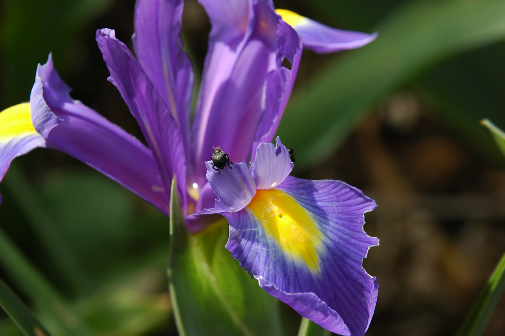 DSC 7518 1000