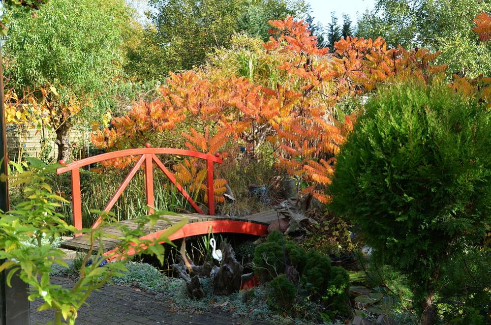DSC 7539 GoldenHerbst 20 10 12