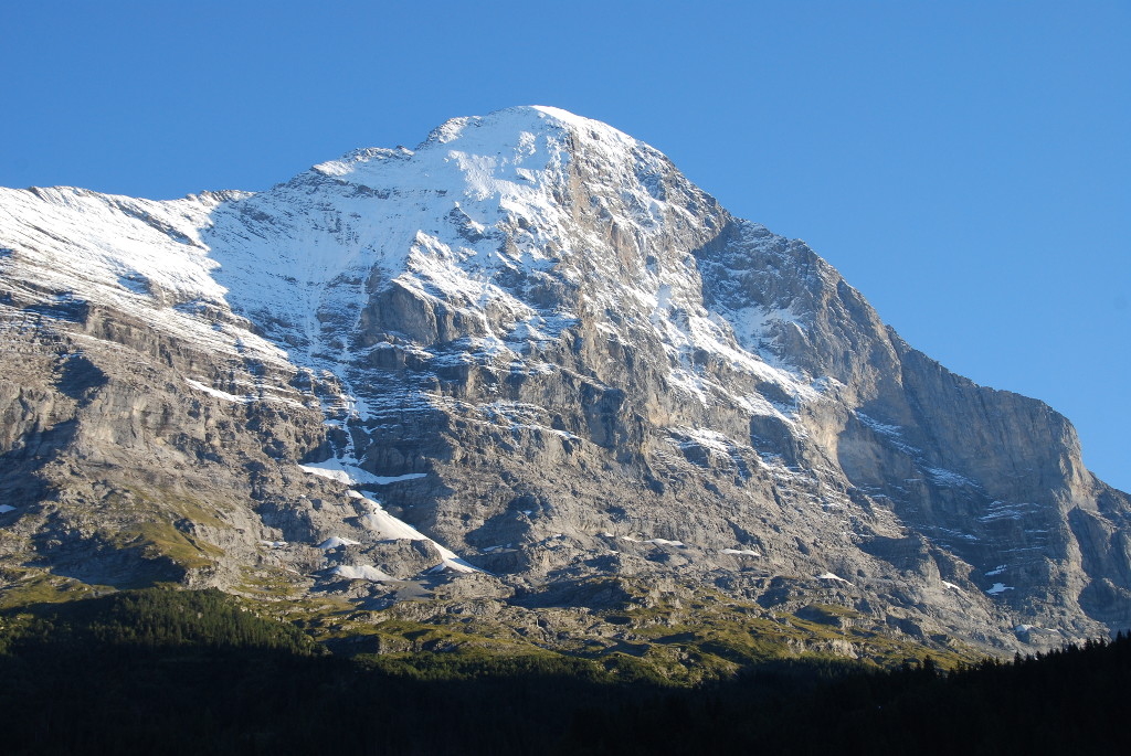 DSC 7541