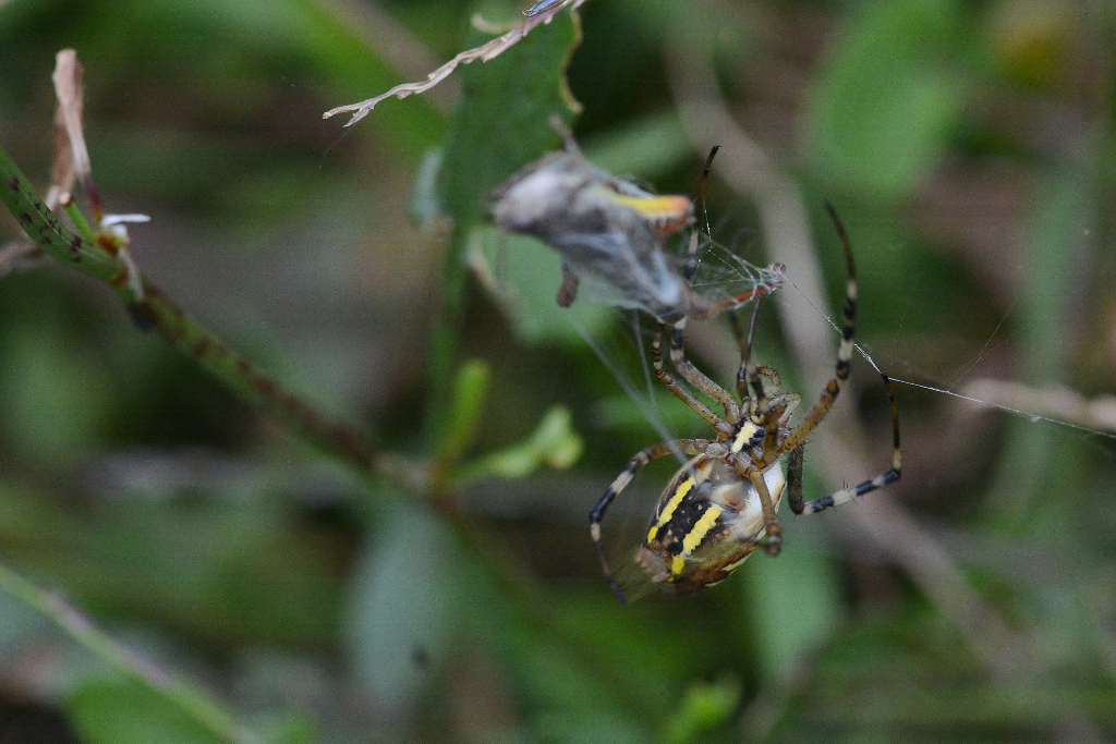 DSC 7545
