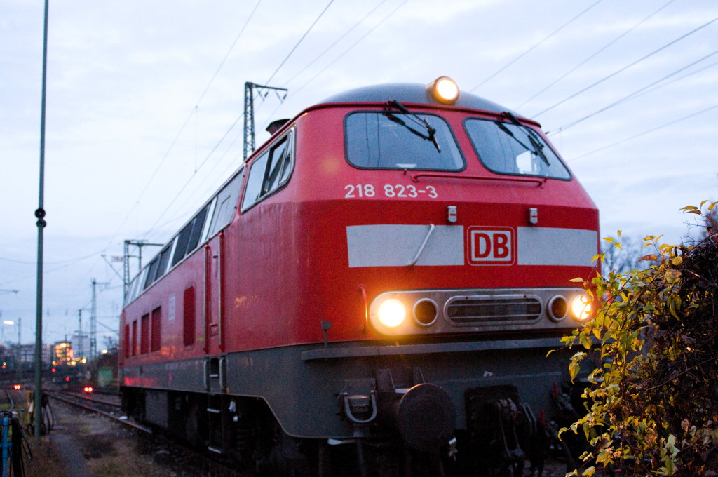 DSC 7693 lok