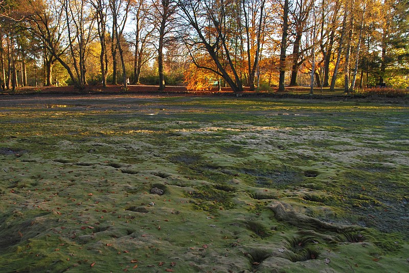 DSC 7752