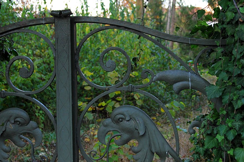 DSC 7784