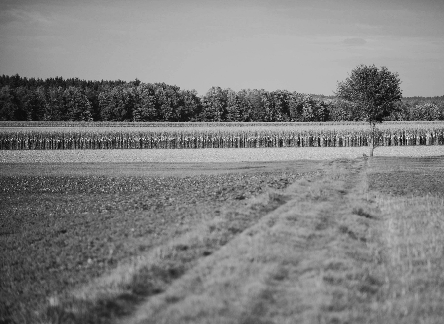 DSC 7786 web crop
