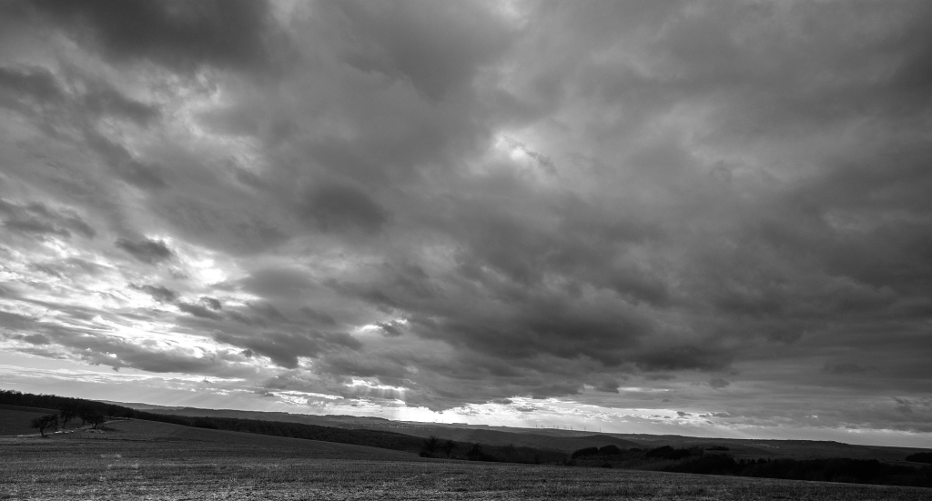 DSC 7789 01