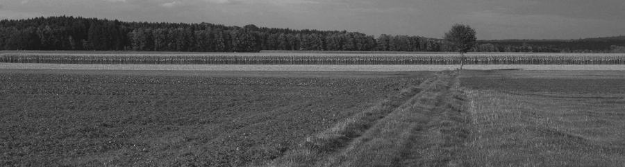 DSC 7790 web crop1