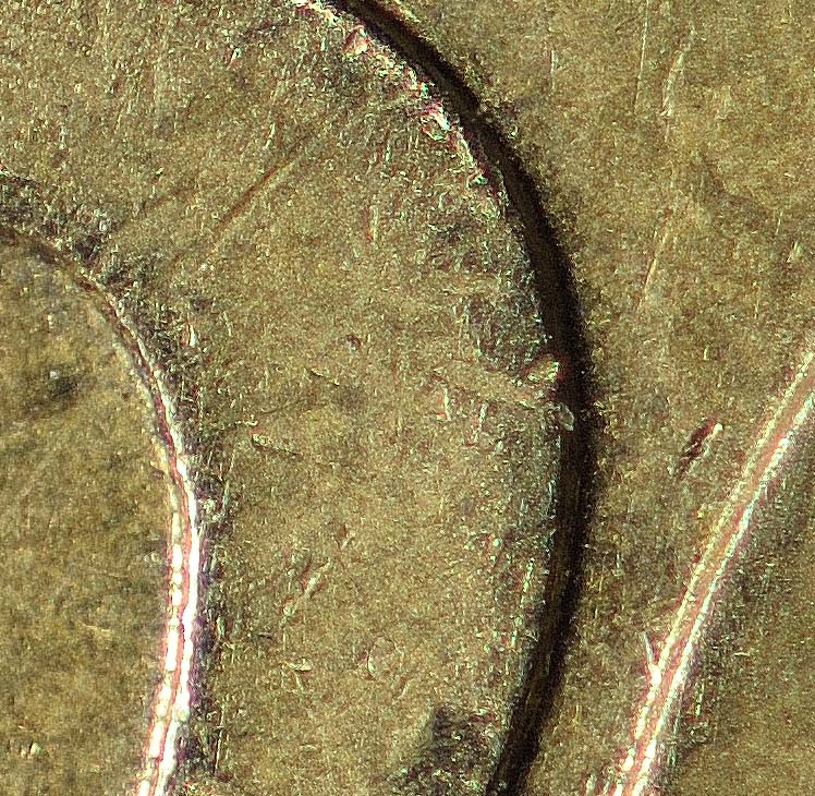DSC 7876crop