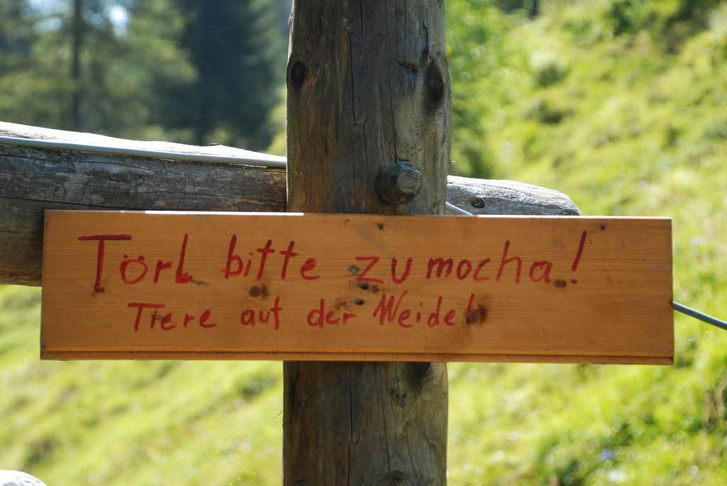 DSC 7881 Bildgröße ändern