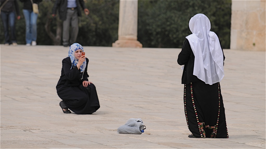DSC 7895