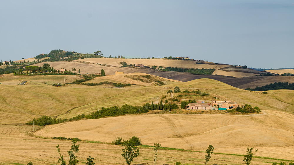 DSC 7900