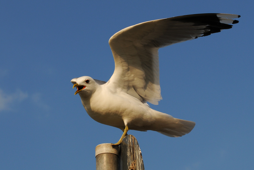 DSC 8057 Abflug w