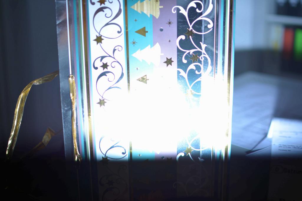 DSC 8213