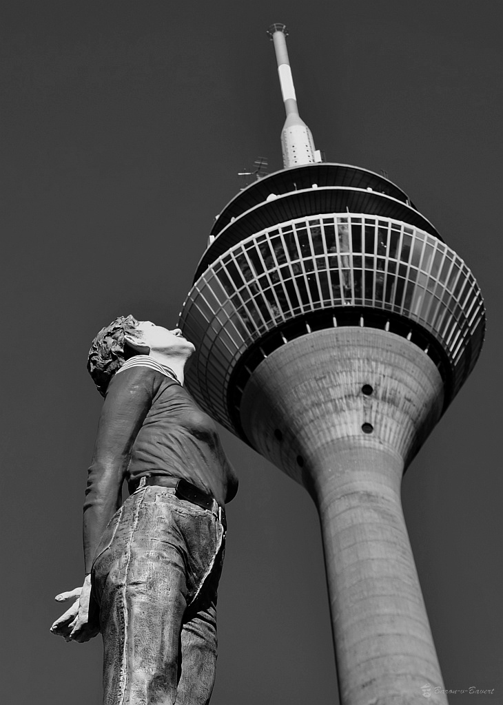 DSC 8274 1sw