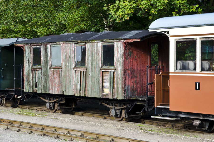 DSC 8366