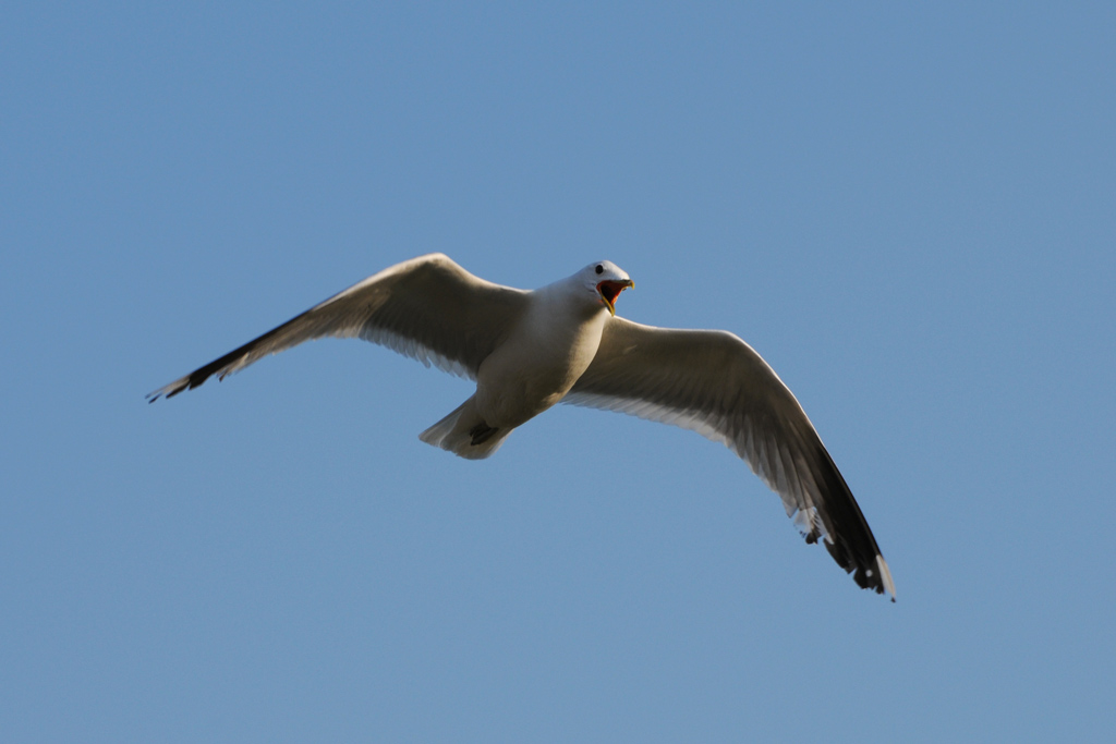 DSC 8411 Moeve 3 w