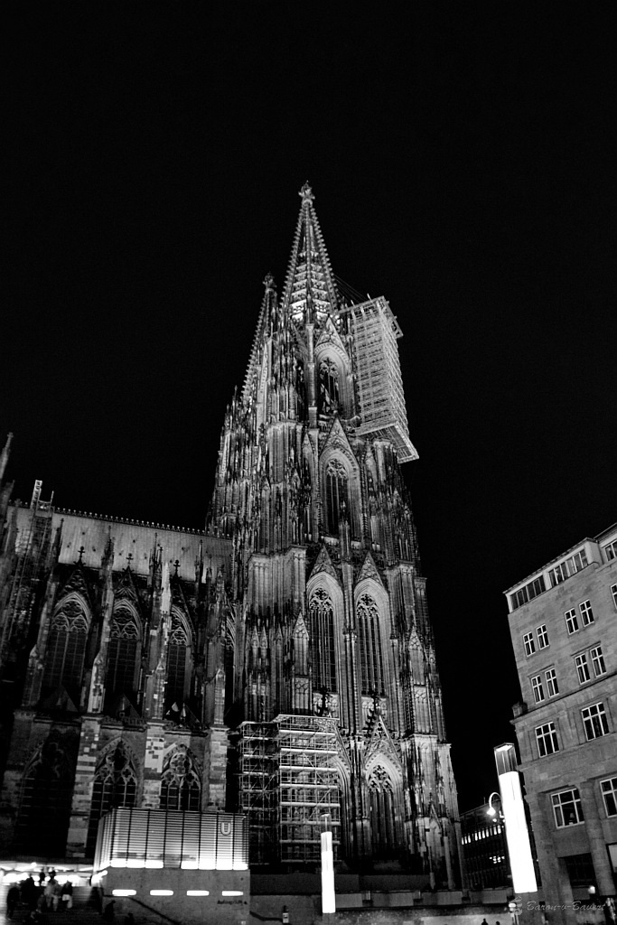 DSC 8423sw