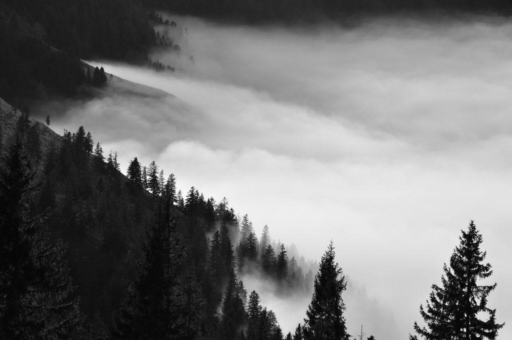 DSC 8458 01